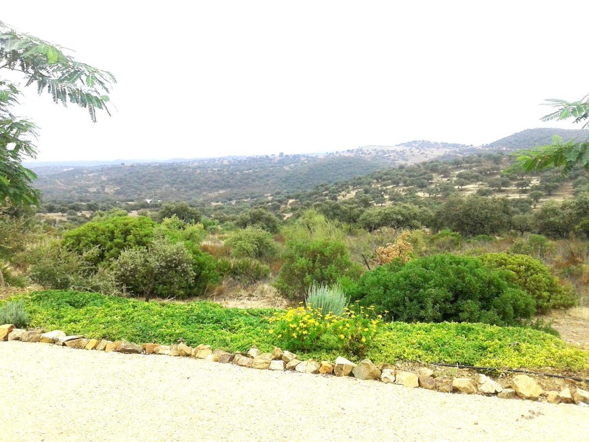 ال كاستيو دي لاس جوارداس Casa Rural La Aulaga المظهر الخارجي الصورة