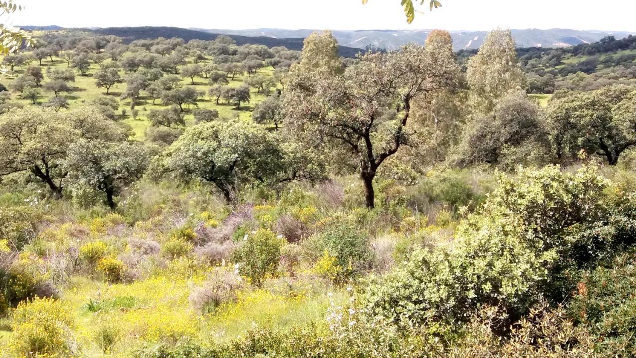 ال كاستيو دي لاس جوارداس Casa Rural La Aulaga المظهر الخارجي الصورة